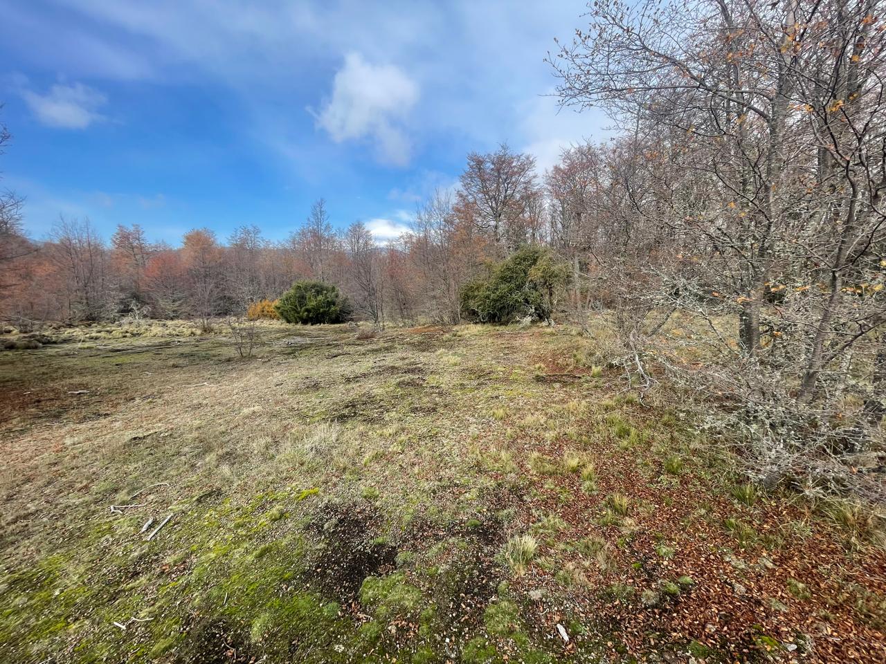 Terreno en venta en Curacautín — foto 5