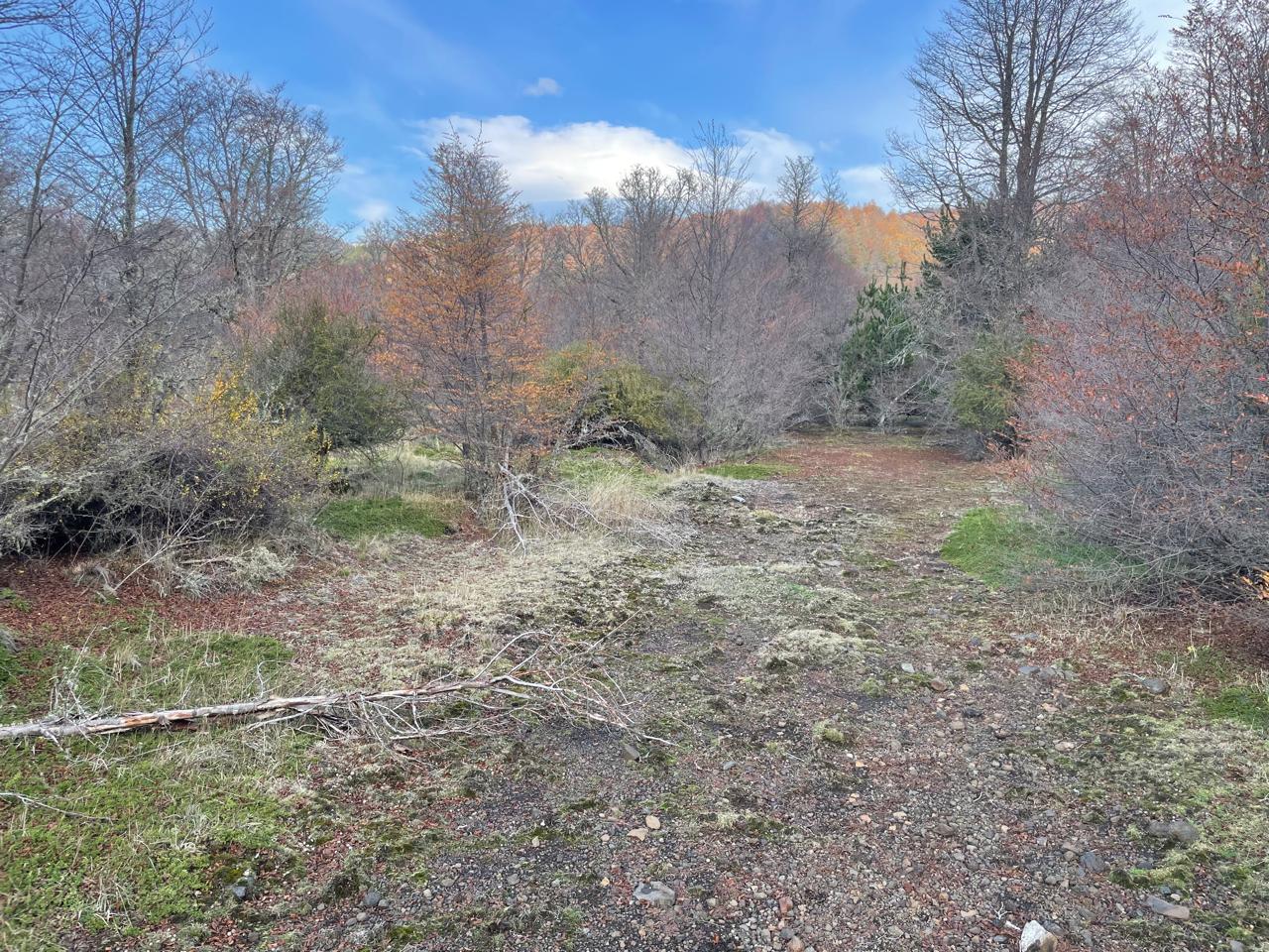 Terreno en venta en Curacautín — foto 8