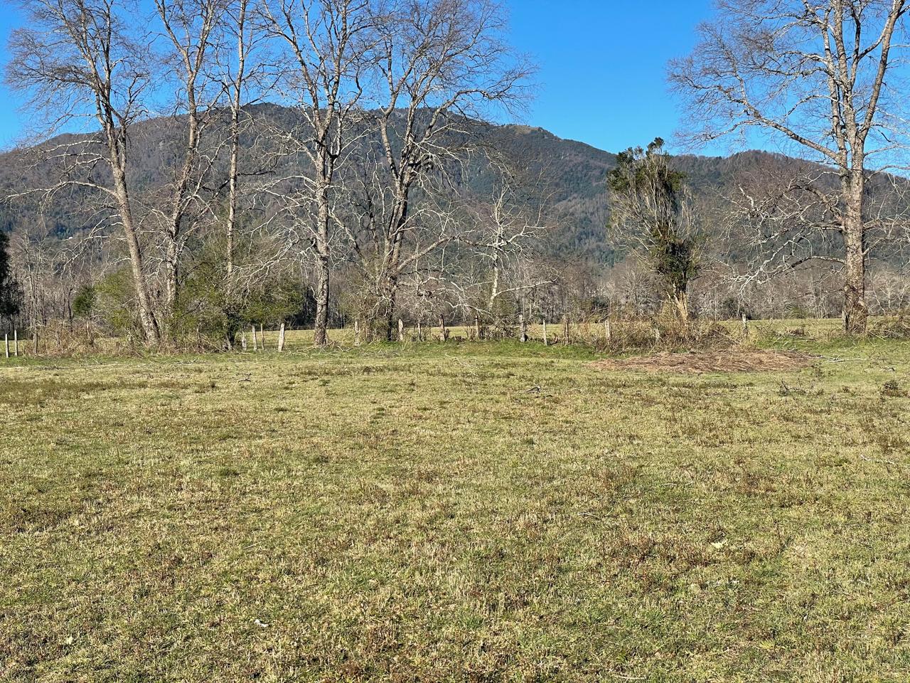 Parcela en venta en Curacautín — foto 5