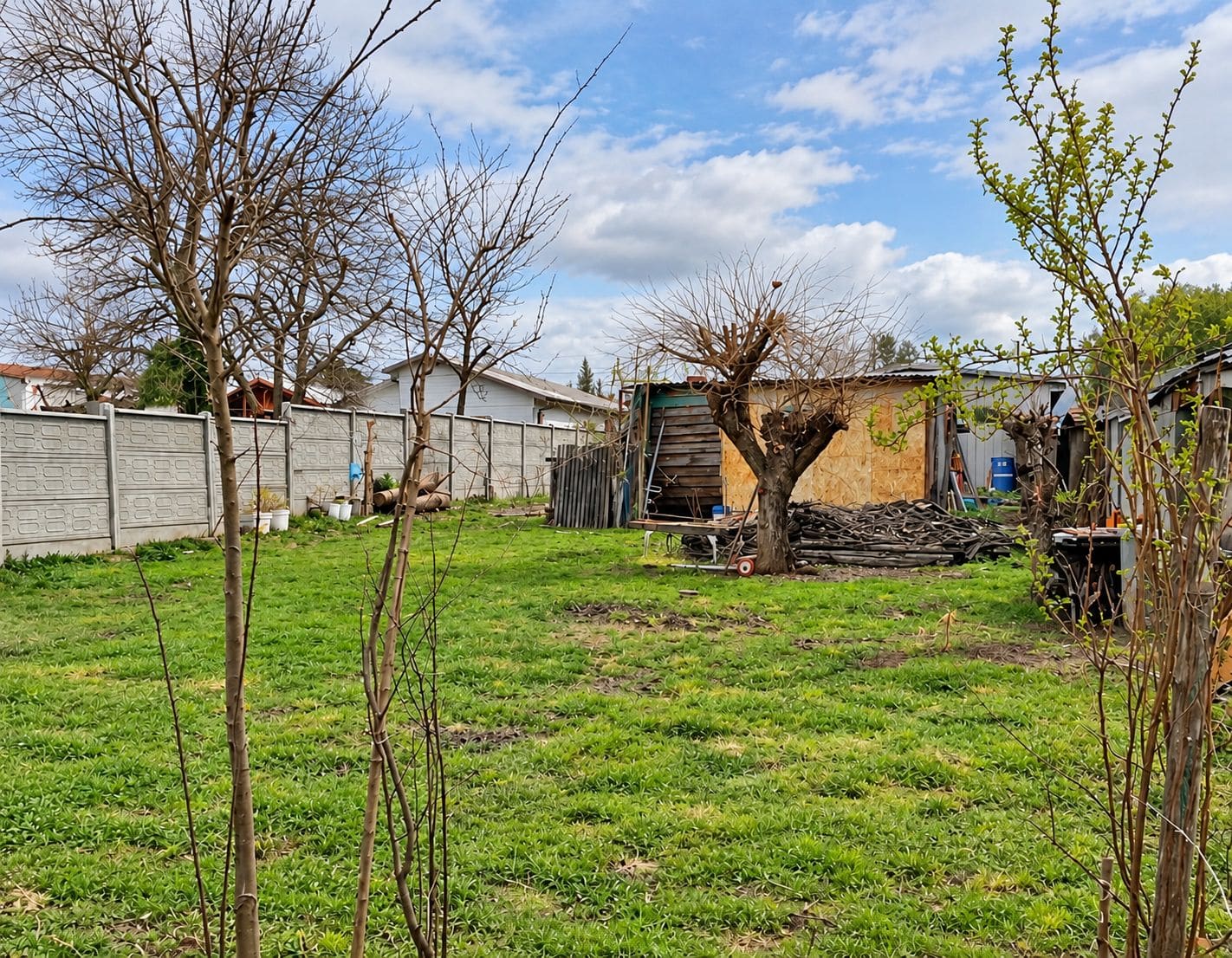 Terreno en venta en Curacautín — foto 3