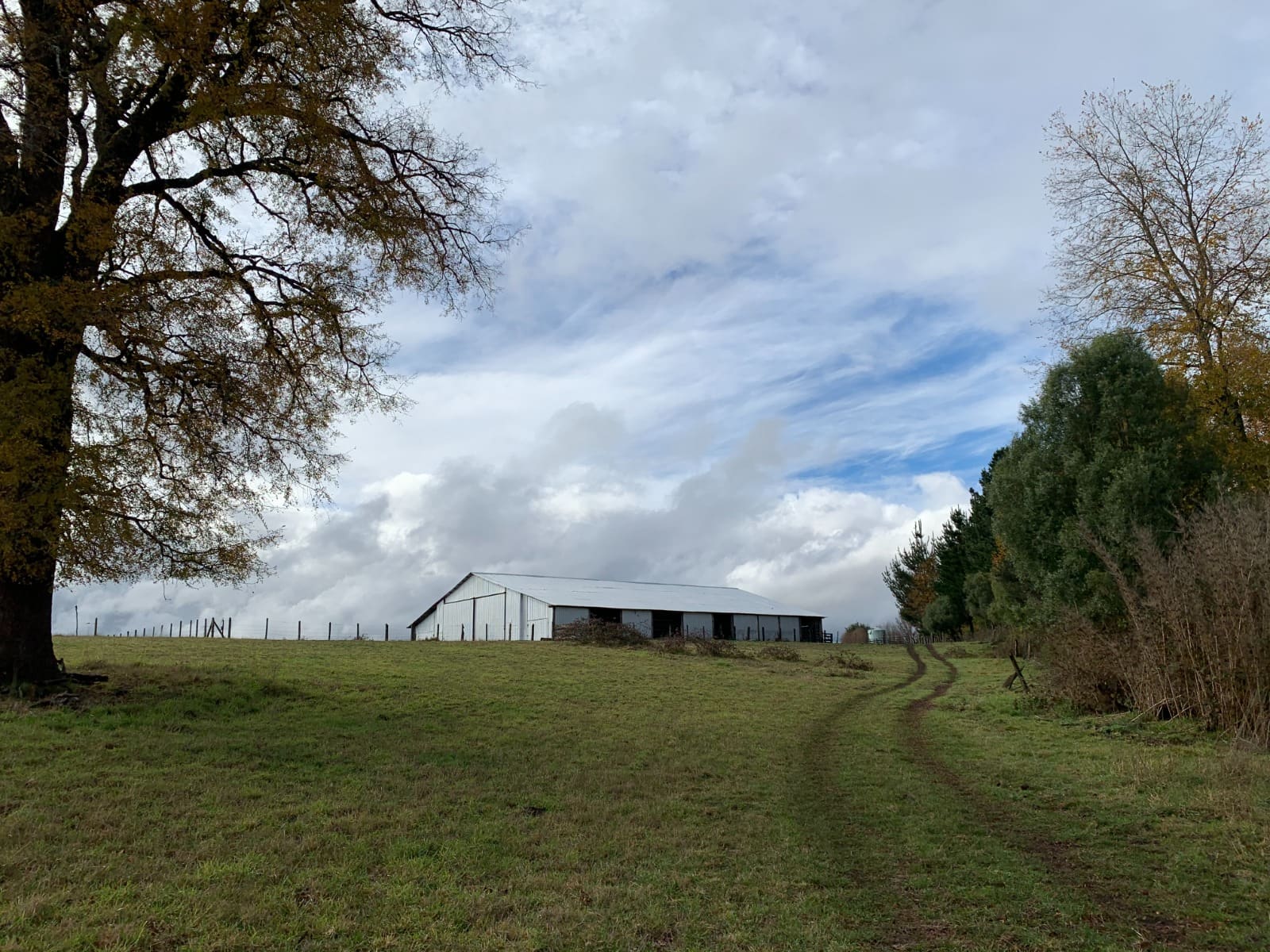 Terreno en venta en Curacautín — foto 5