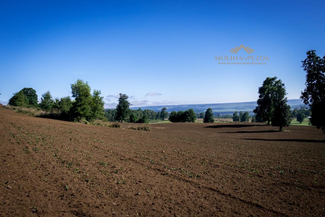 Terreno en venta en Curacautín — foto 9
