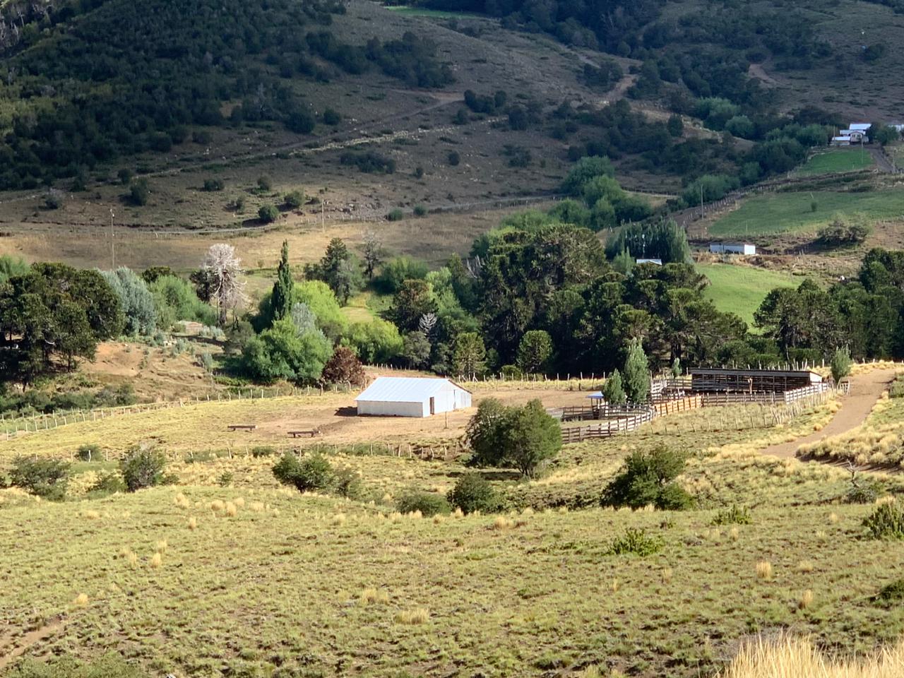 Terreno en venta en Lonquimay — foto 3