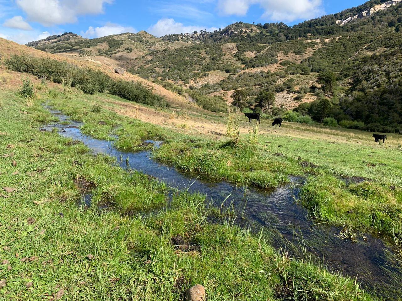 Terreno en venta en Lonquimay — foto 9