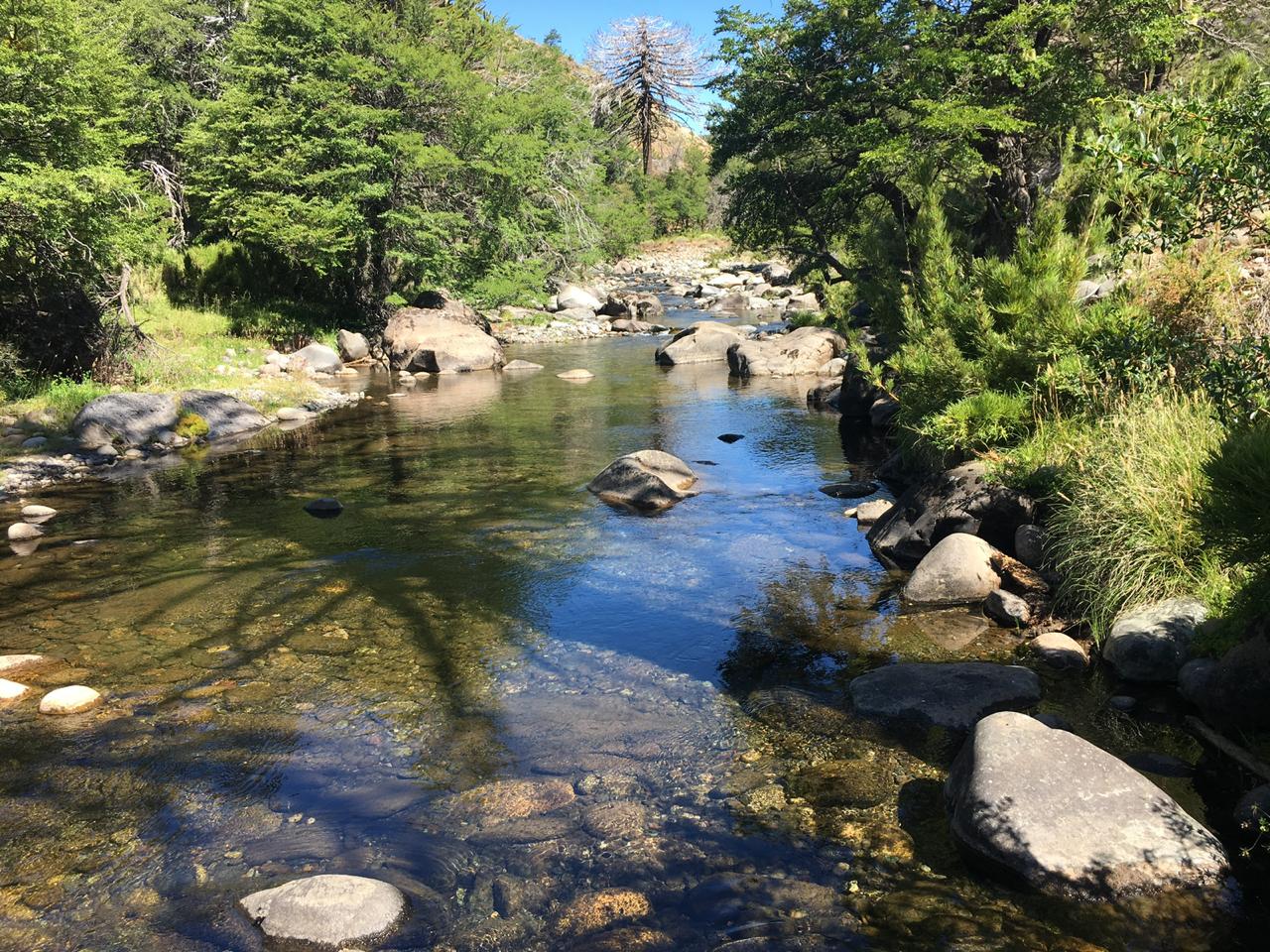 Terreno en venta en Lonquimay — foto 2