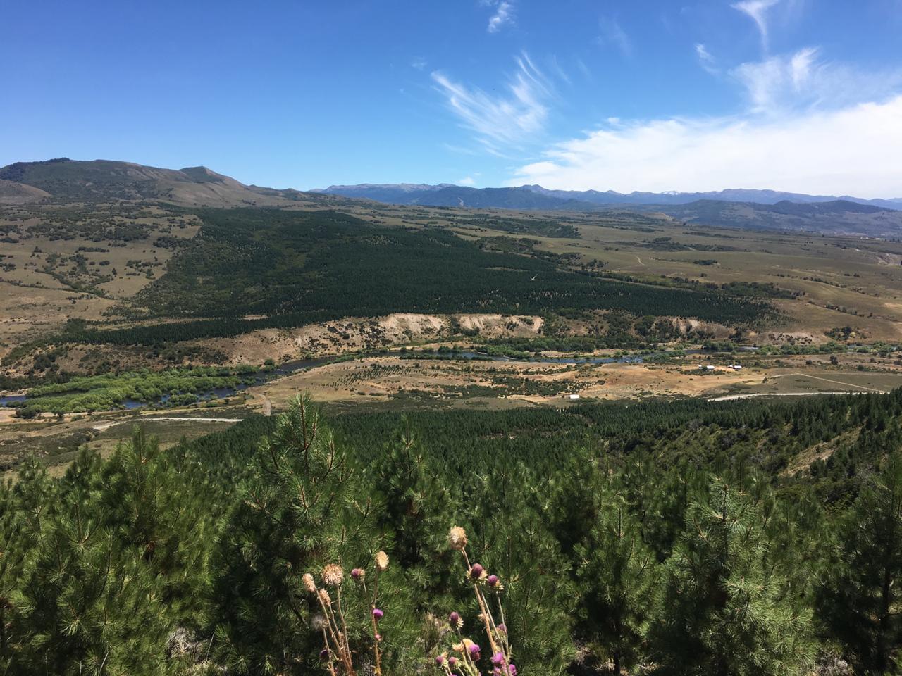 Terreno en venta en Lonquimay — foto 3