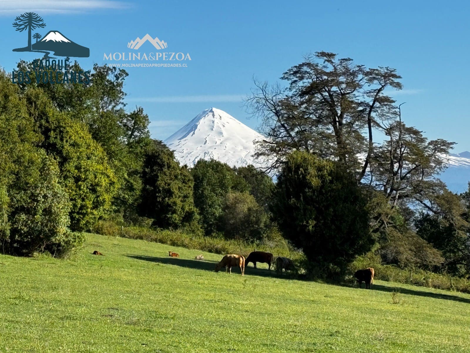 Terreno en venta en Curacautín — foto 2