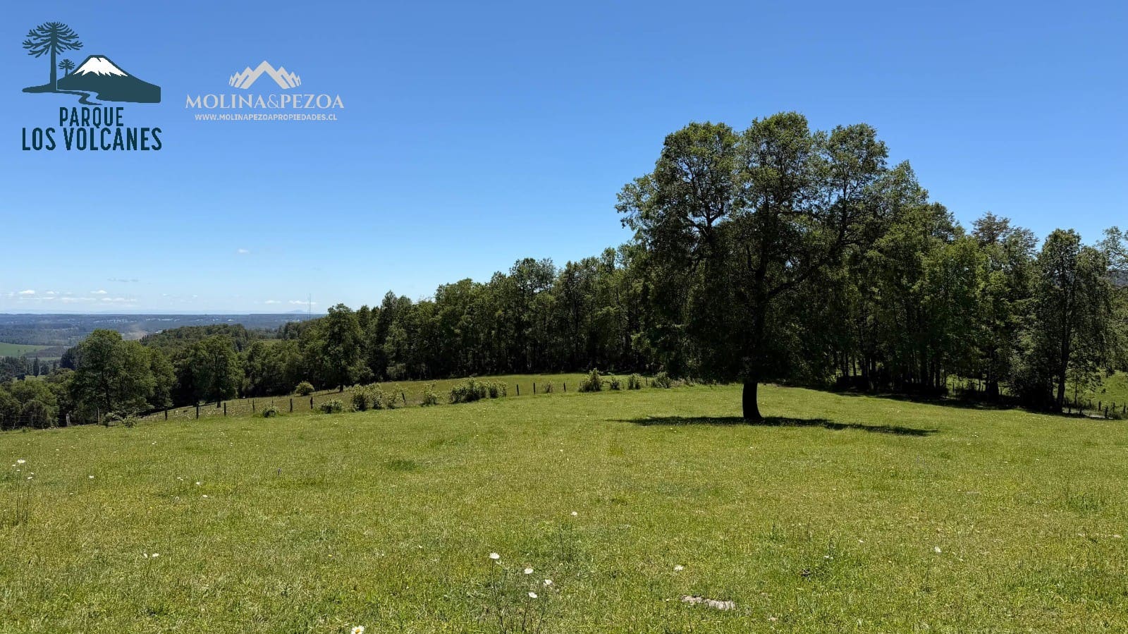 Terreno en venta en Curacautín — foto 7