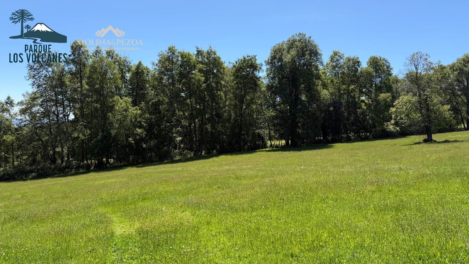 Terreno en venta en Curacautín — foto 9