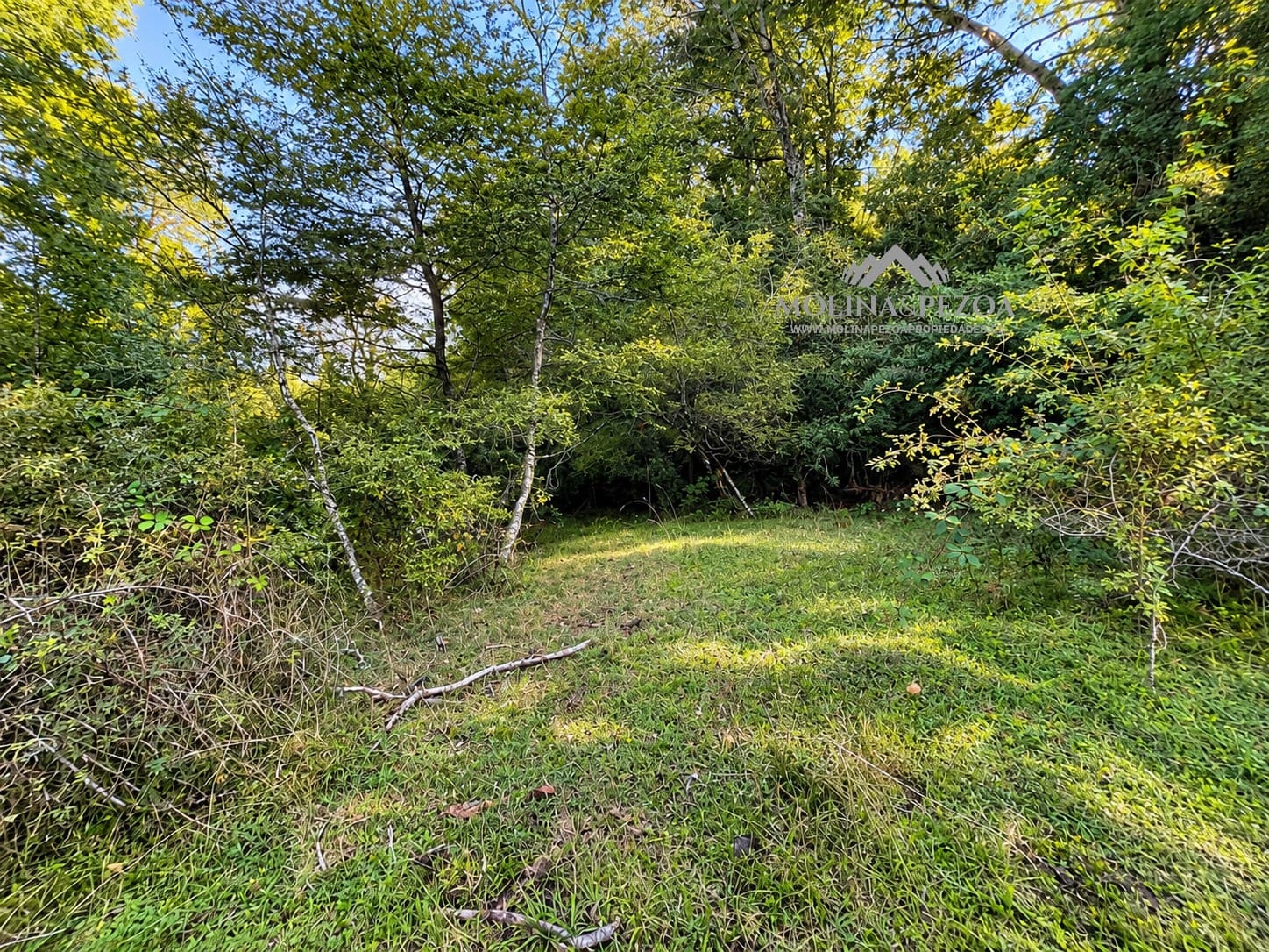 Terreno en venta en Curacautín — foto 1