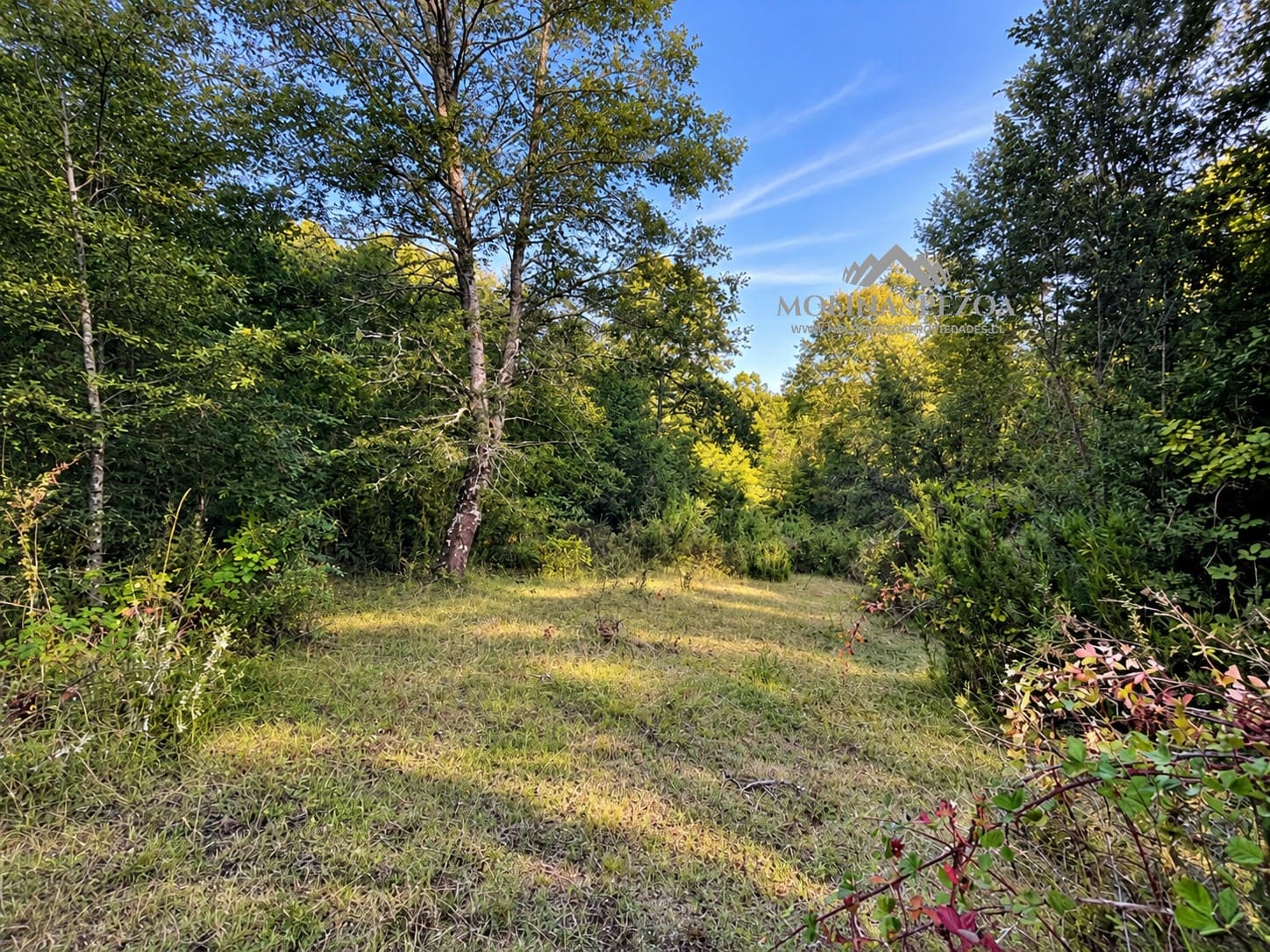 Terreno en venta en Curacautín — foto 2