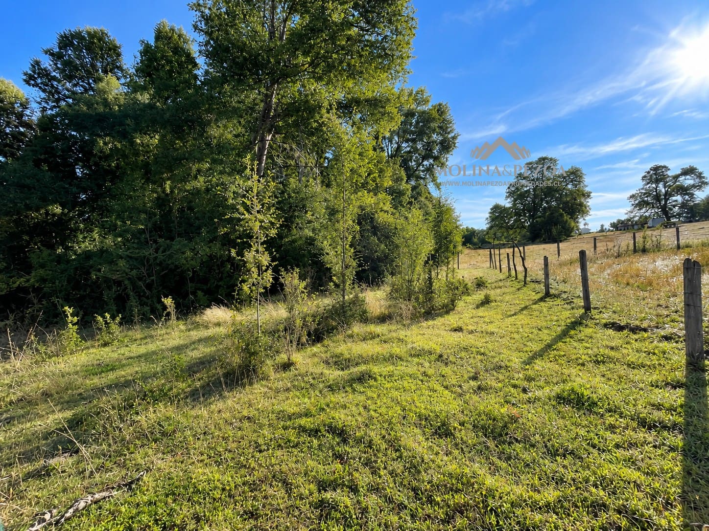 Terreno en venta en Curacautín — foto 4