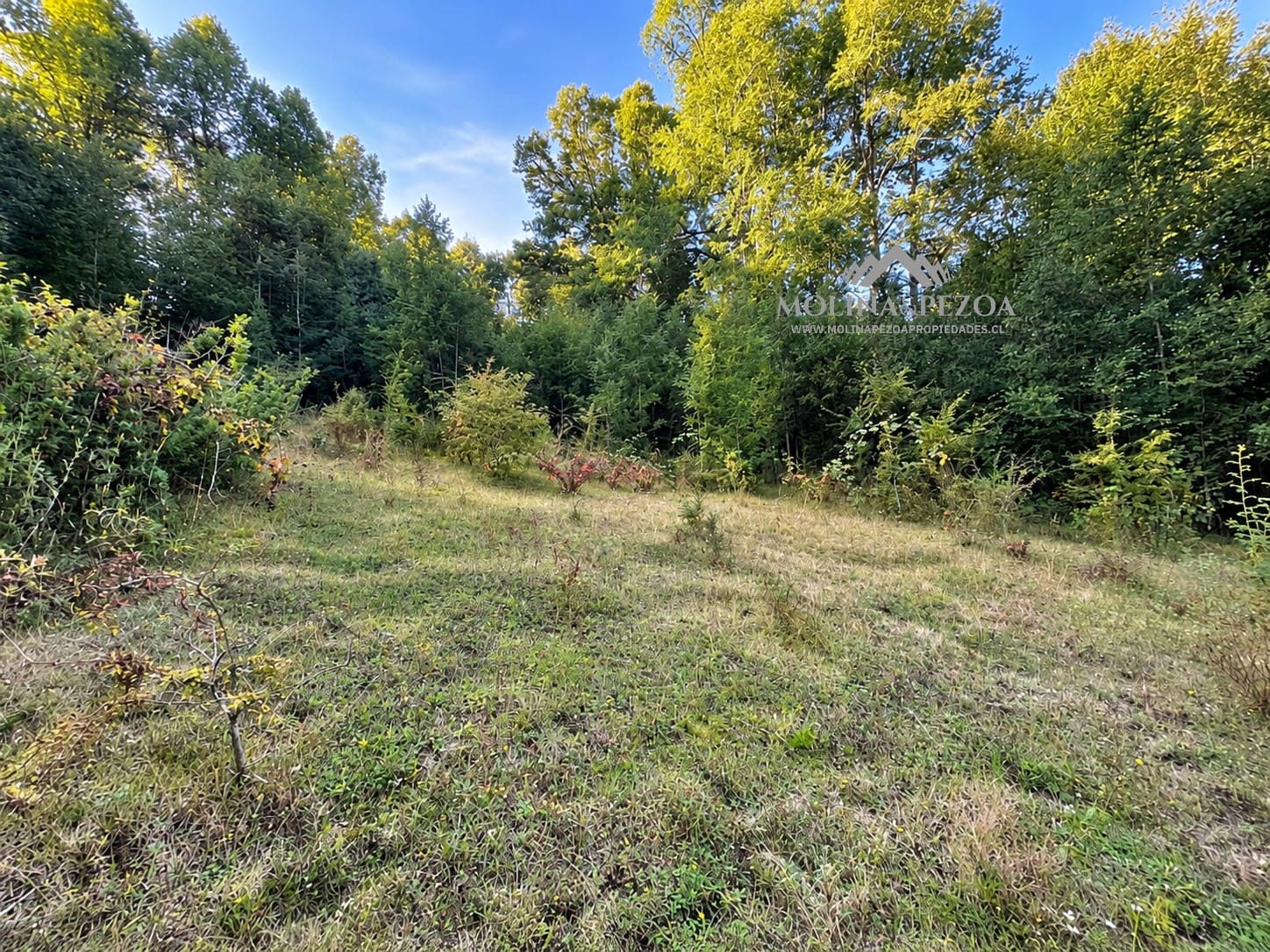 Terreno en venta en Curacautín — foto 6