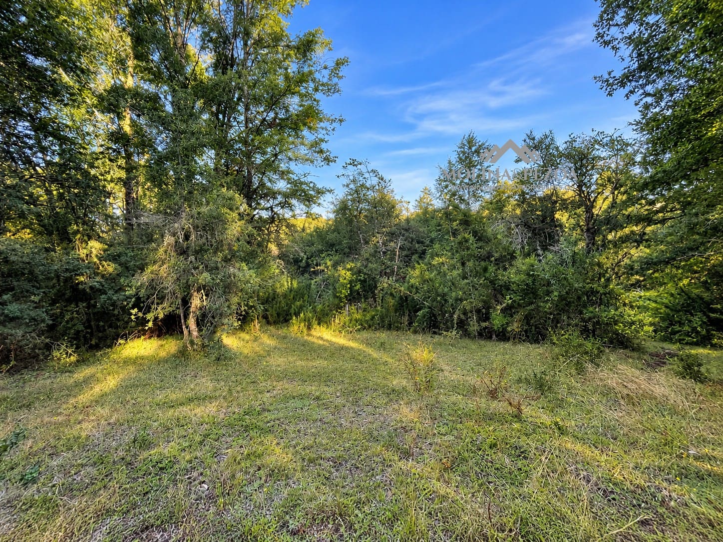 Terreno en venta en Curacautín — foto 7