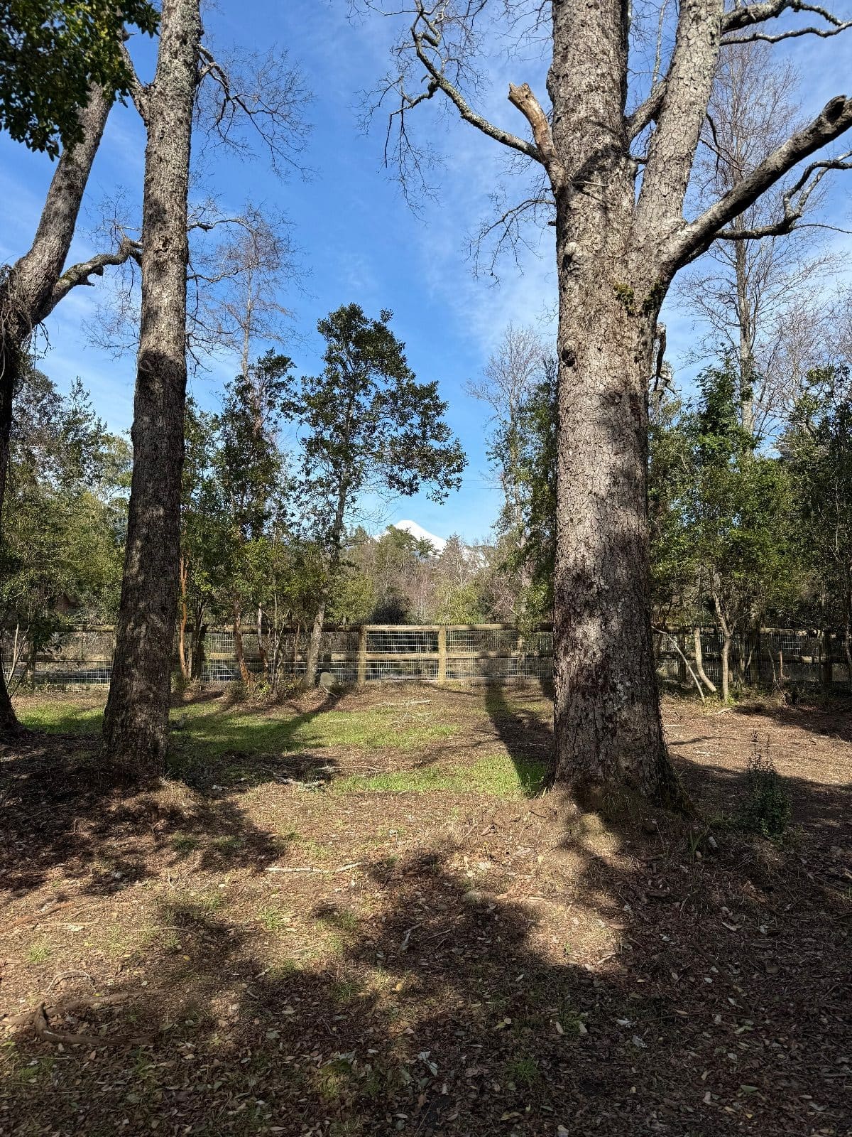 Parcela en venta en Pucón — foto 8