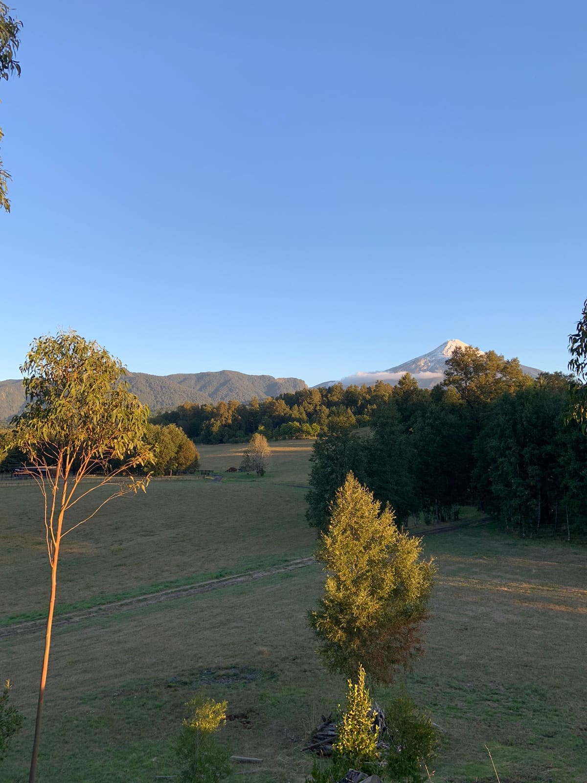 Parcela en venta en Pucón — foto 4