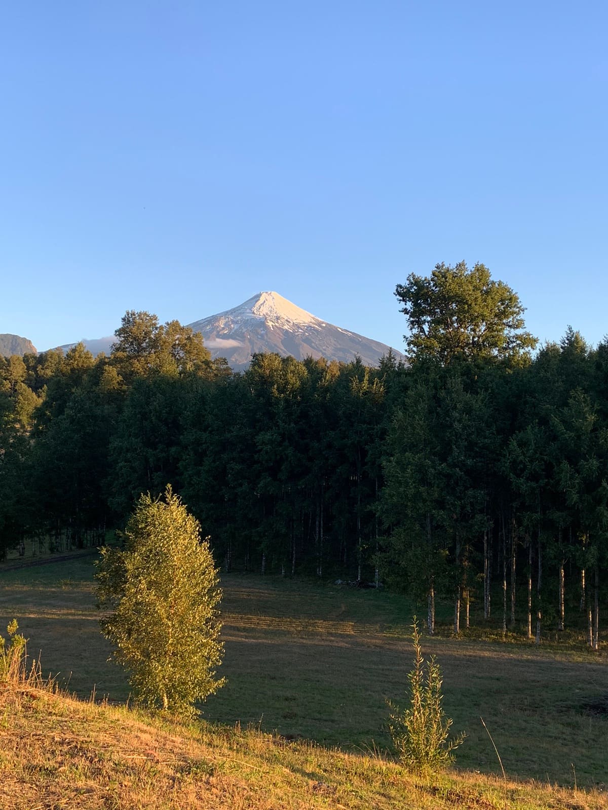Parcela en venta en Pucón — foto 5