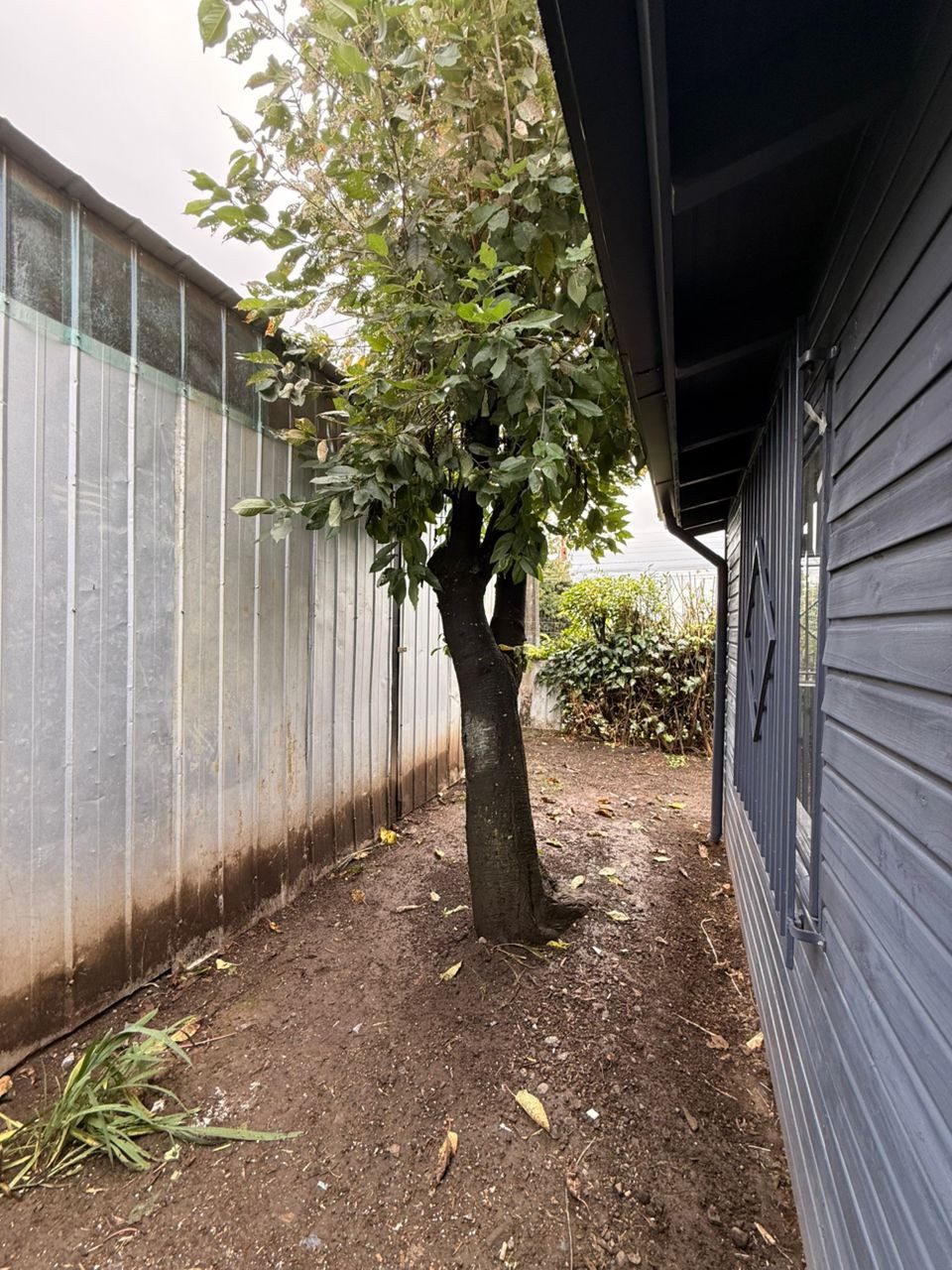 Local comercial en venta en Villarrica — foto 10