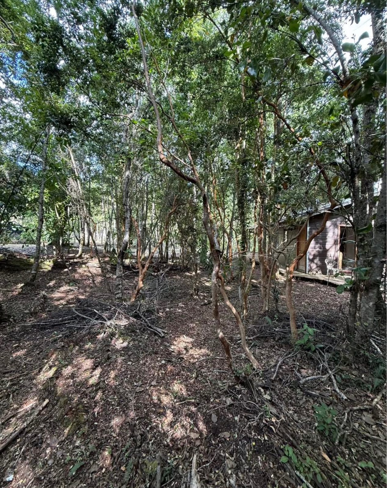 Casa en venta en Pucón — foto 7
