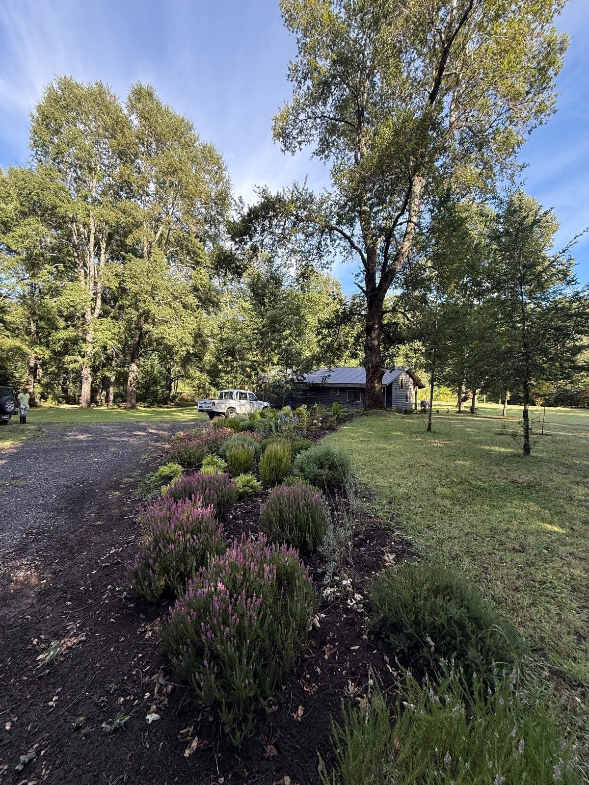 Casa en venta en Pucón — foto 3
