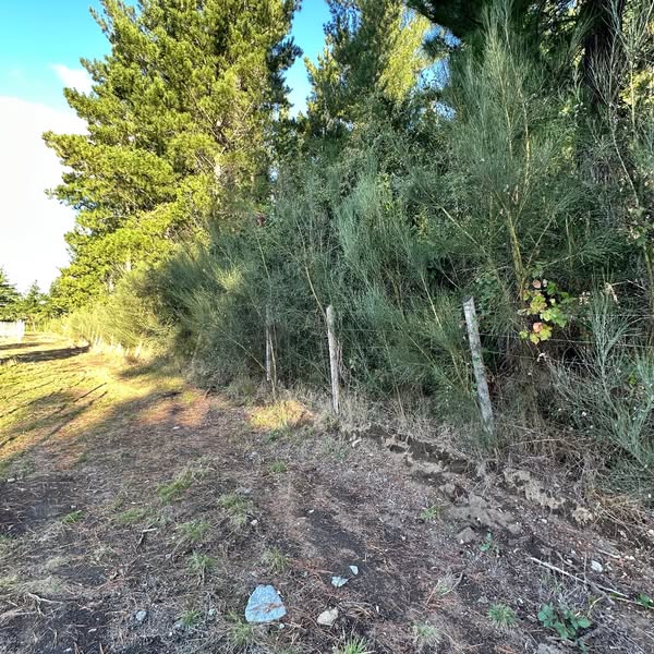 Parcela en venta en Pucón — foto 1