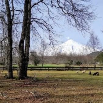 Parcela en venta en Pucón — foto 1