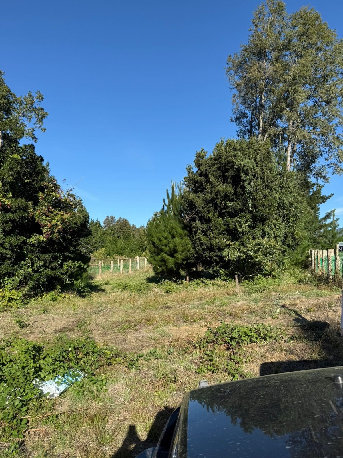 Terreno en venta en Pucón — foto 6