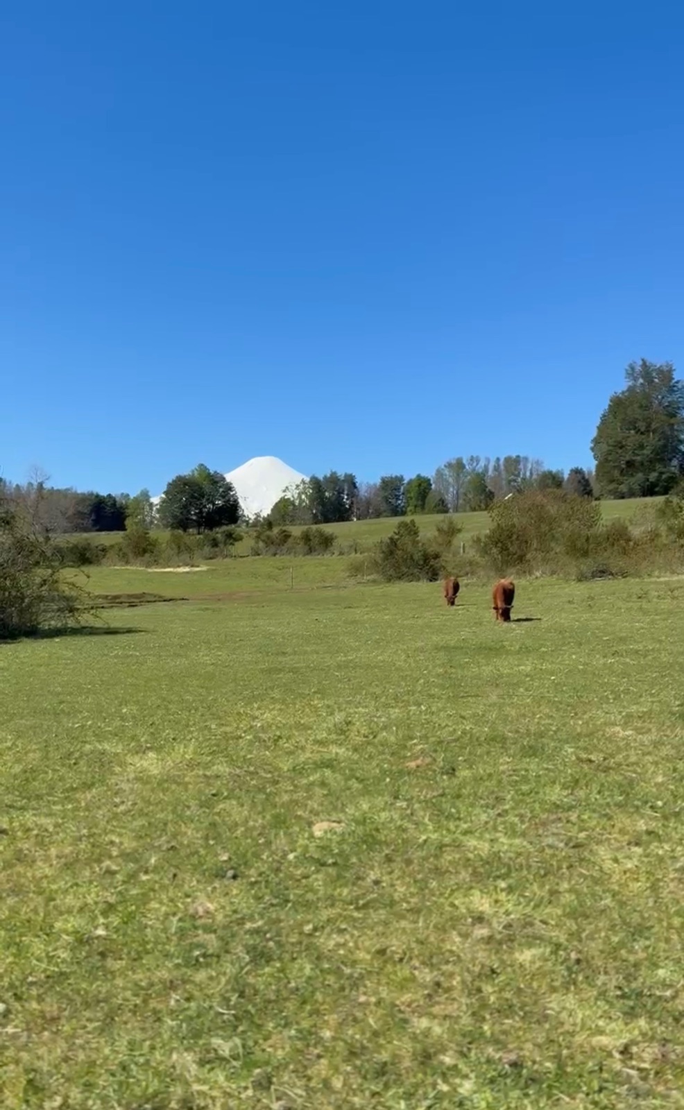 Parcela en venta en Pucón — foto 3