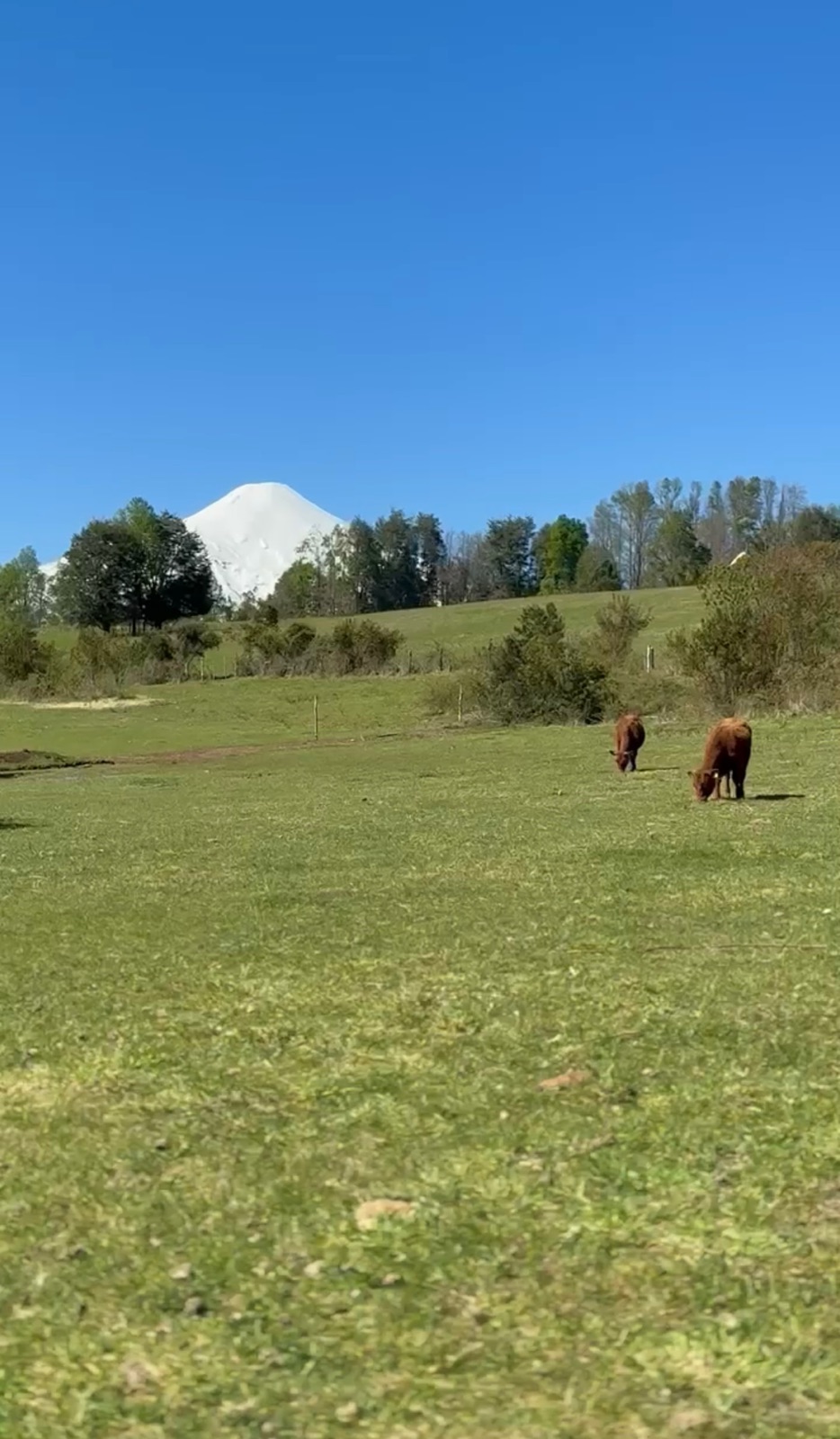 Parcela en venta en Pucón — foto 4