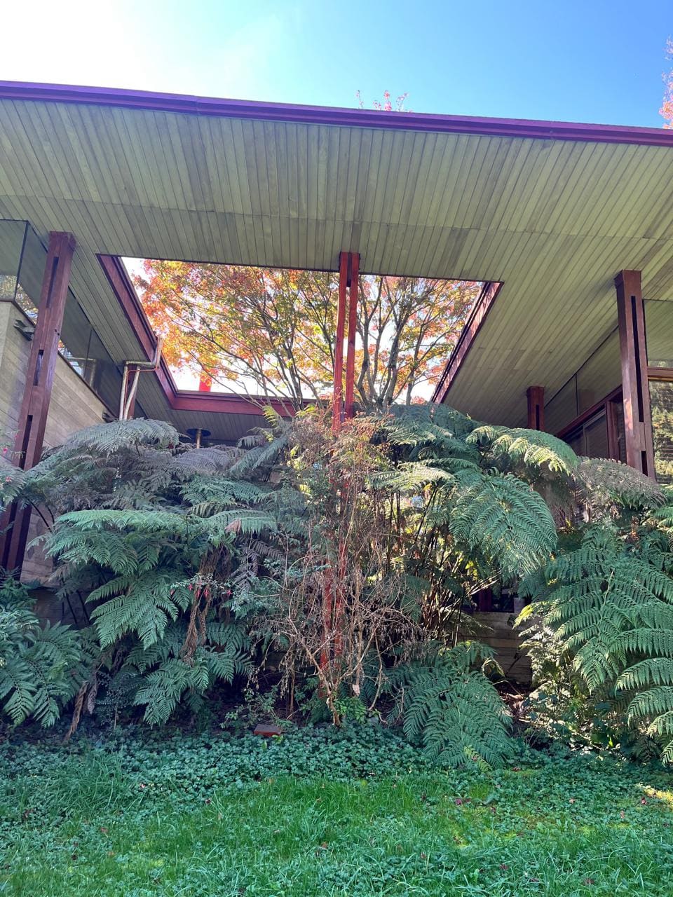 Casa en venta en Pucón — foto 8