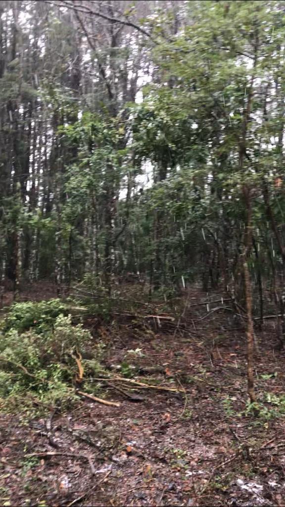 Terreno en venta en Pucón — foto 2