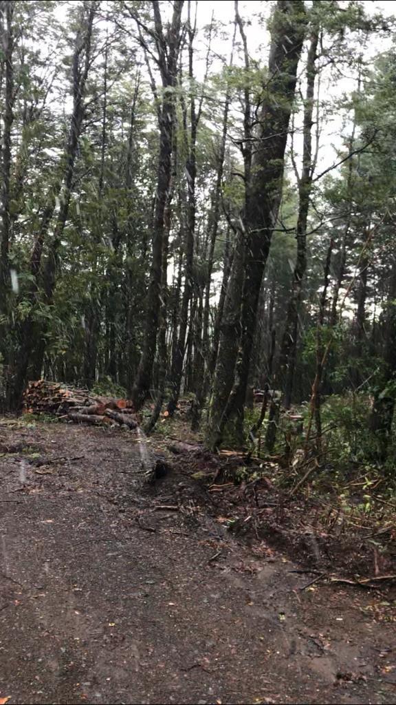 Terreno en venta en Pucón — foto 3