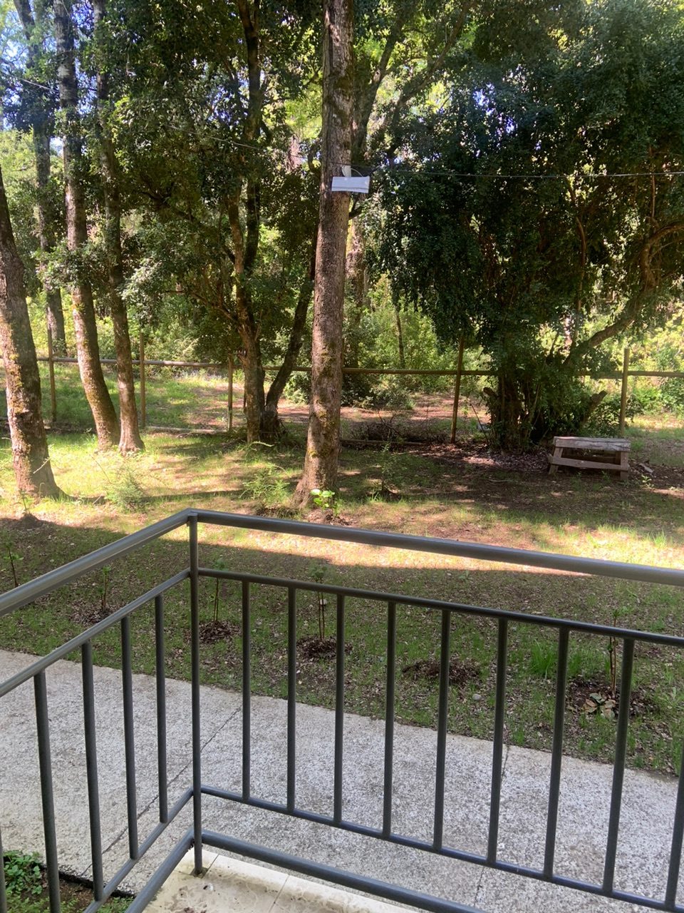 Departamento en venta en Pucón — foto 7