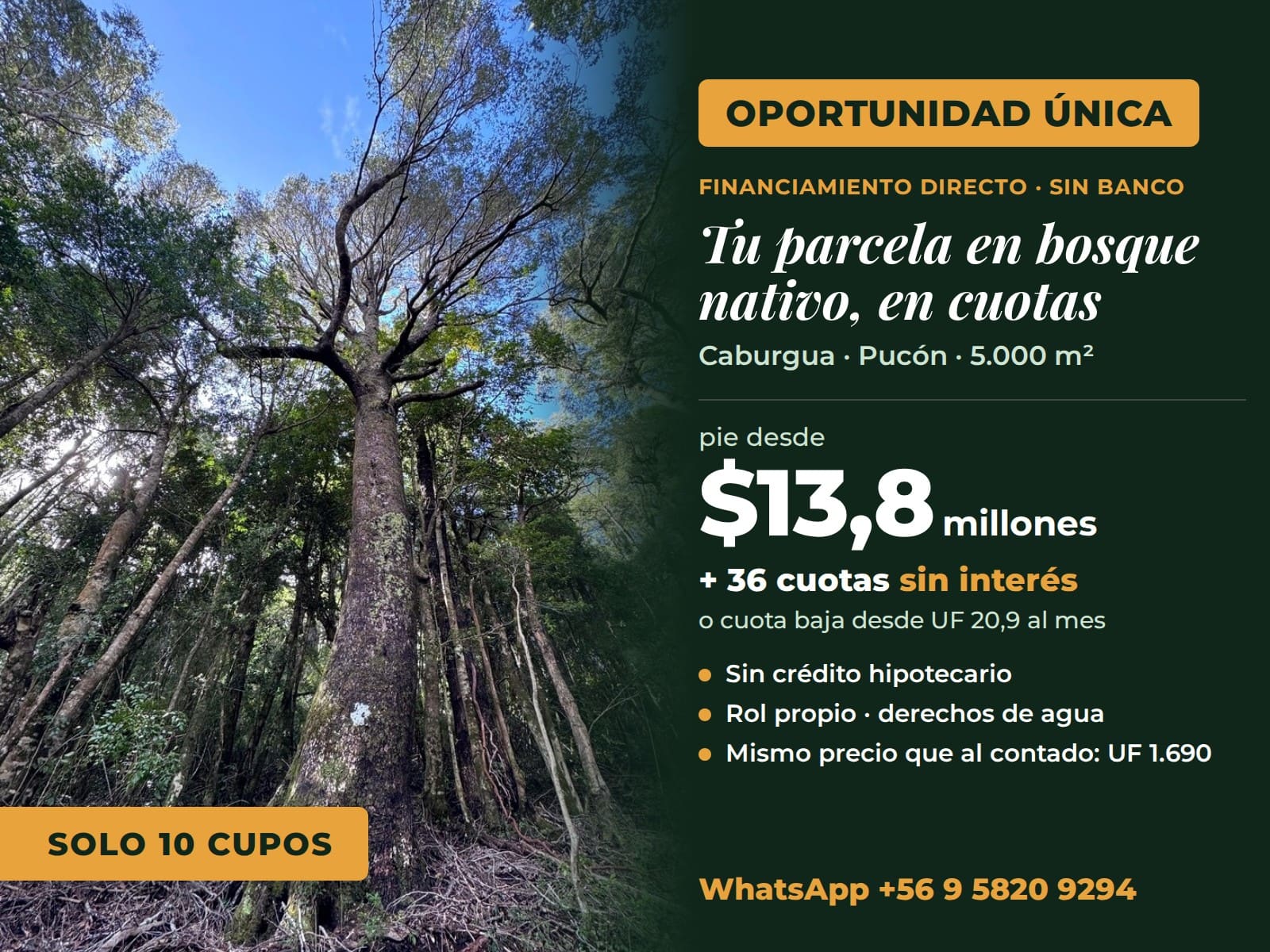 Loteo Bosque Caburgua