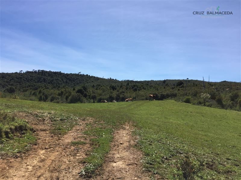 Parcela en venta en Los Muermos — foto 1