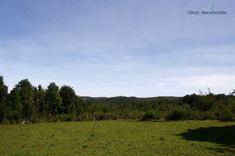 Parcela en venta en Los Muermos — foto 2