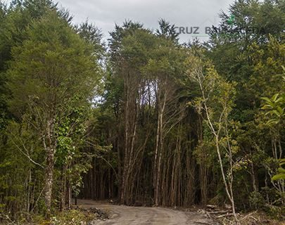 Parcela en venta en Puerto Varas — foto 7