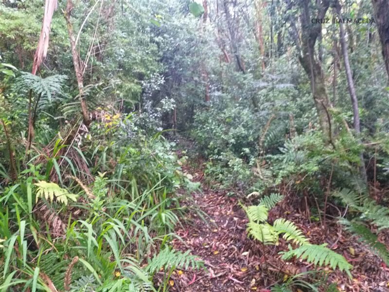 Terreno en venta en Puerto Montt — foto 4