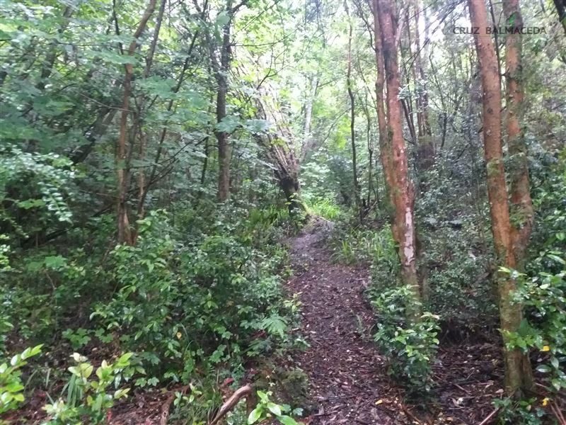 Terreno en venta en Puerto Montt — foto 5