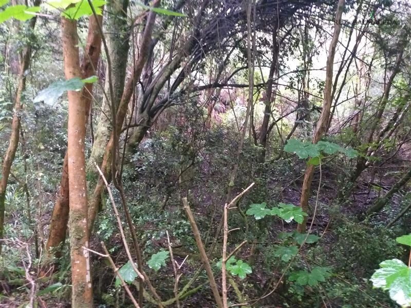 Terreno en venta en Puerto Montt — foto 7