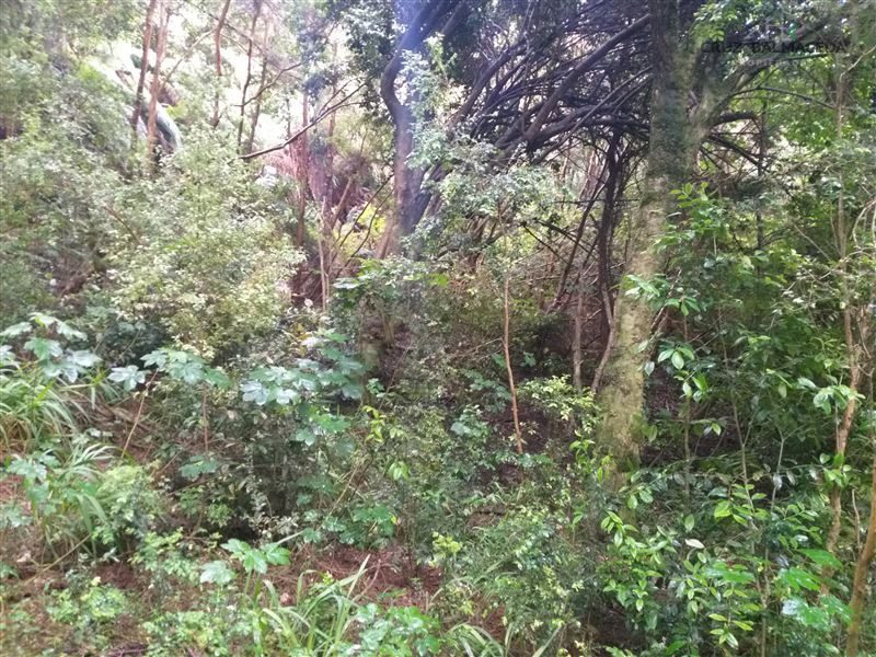 Terreno en venta en Puerto Montt — foto 8
