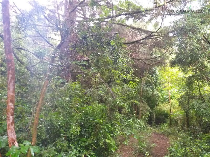 Terreno en venta en Puerto Montt — foto 9