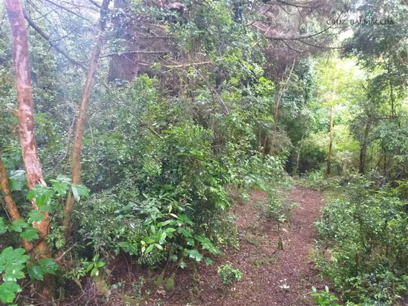 Terreno en venta en Puerto Montt — foto 10
