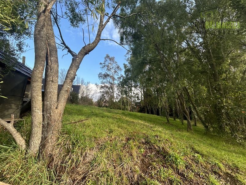 Terreno en venta en Puerto Varas — foto 1
