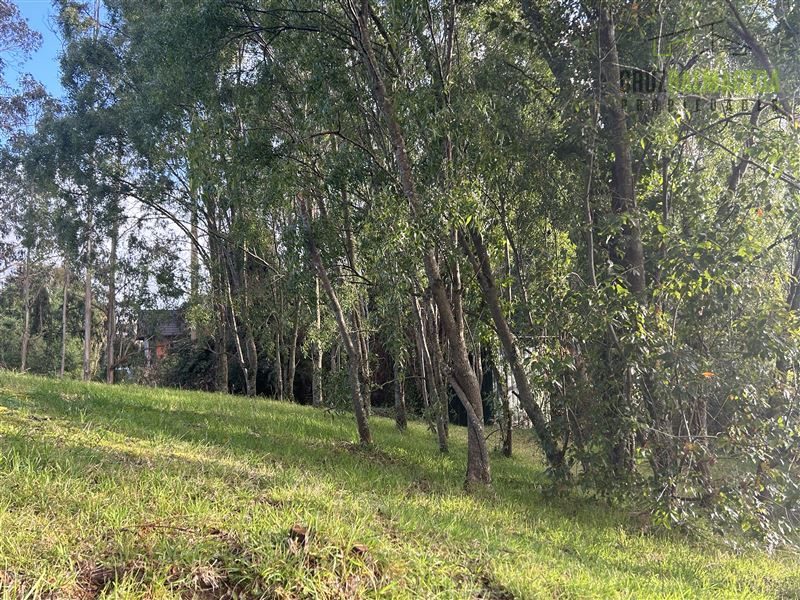 Terreno en venta en Puerto Varas — foto 4