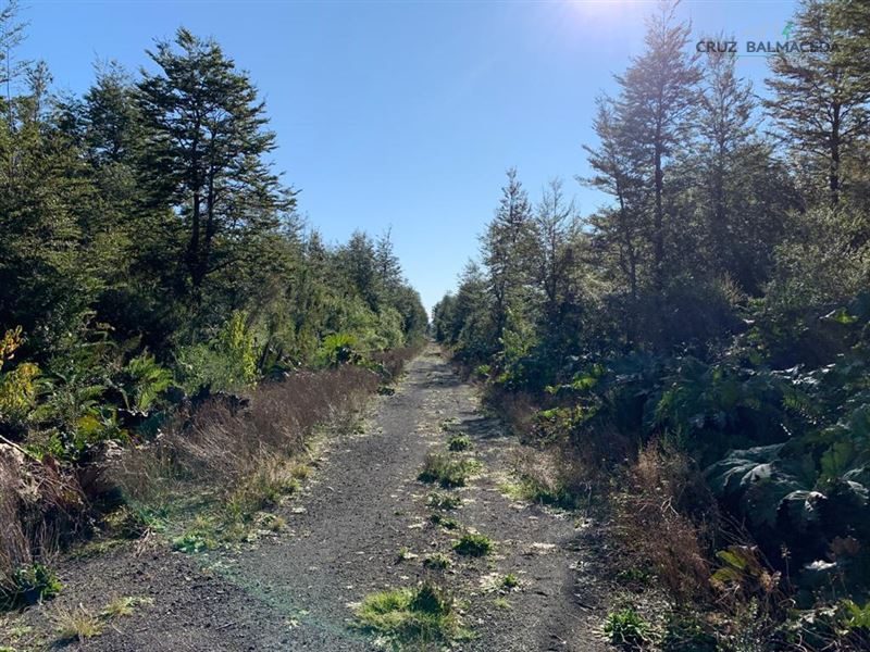 Parcela en venta en Puerto Varas — foto 2