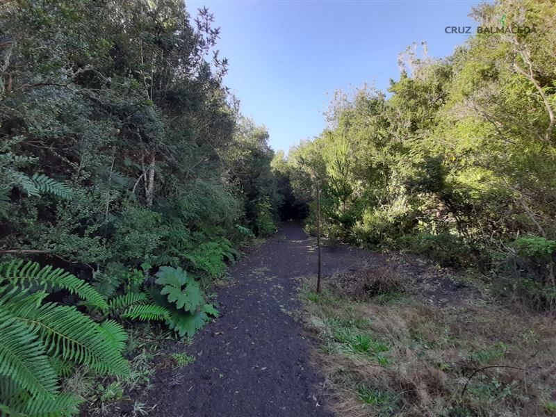 Parcela en venta en Puerto Varas — foto 6