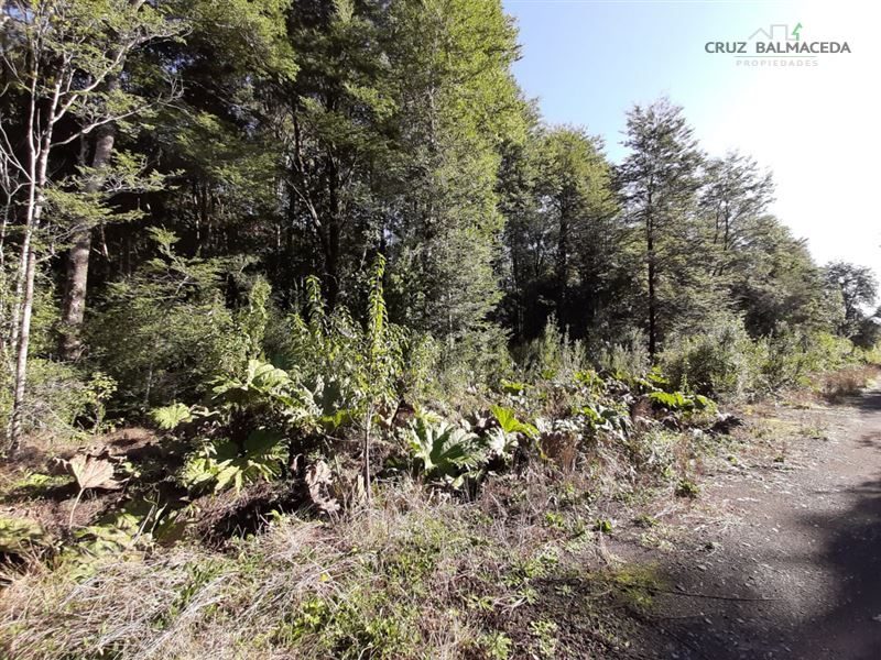 Parcela en venta en Puerto Varas — foto 8