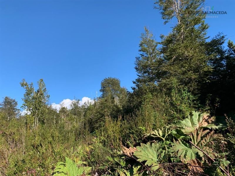 Parcela en venta en Puerto Varas — foto 9