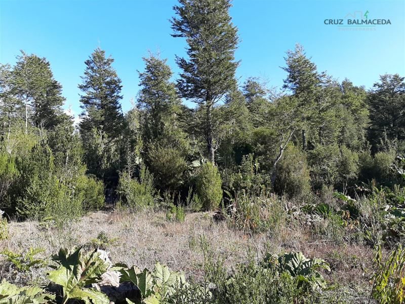 Parcela en venta en Puerto Varas — foto 10